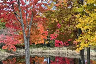 14321 N Chestnut Ave, Reed City, MI 49677 - Photo 16