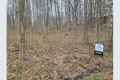 V/L 46 E Peterson, Gobles, MI 49055 - Photo 2