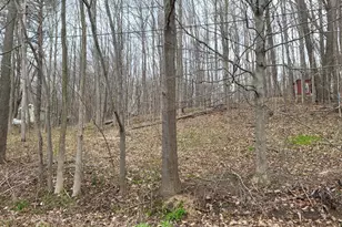 V/L 46 E Peterson, Gobles, MI 49055 - Photo 1