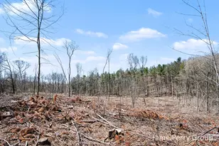 80 W Holland Lake Rd, Sheridan, MI 48884 - Photo 16