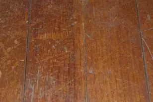 8236 Trinity St, Detroit, MI 48228 - Photo 20