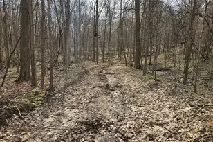 52561 38th Ave, Bangor, MI 49013 - Photo 32