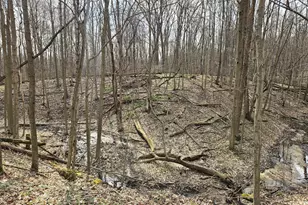 52561 38th Ave, Bangor, MI 49013 - Photo 30