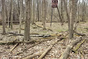 52561 38th Ave, Bangor, MI 49013 - Photo 36