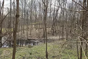 52561 38th Ave, Bangor, MI 49013 - Photo 28