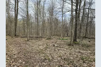 52561 38th Avenue, Bangor, MI 49013 - Photo 34