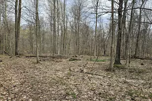 52561 38th Ave, Bangor, MI 49013 - Photo 34