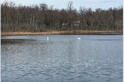 6150 Willow Road, West Bloomfield, MI 48324 - Photo 58