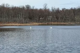 6150 Willow Rd, West Bloomfield, MI 48324 - Photo 58