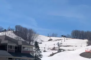 14441 Woods Trail, Thompsonville, MI 49683 - Photo 28