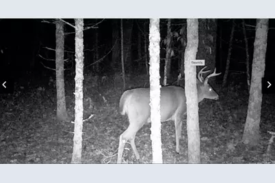 6159 S Forman Road, Baldwin, MI 49304 - Photo 4