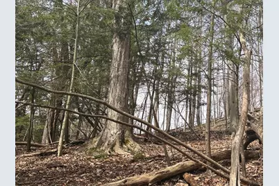 8349 Leecrest Boulevard, Onekama, MI 49675 - Photo 12