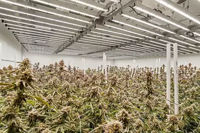 6764 Just Barns Drive, Fennville, MI 49408 - Photo 4