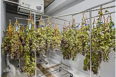 6764 Just Barns Drive, Fennville, MI 49408 - Photo 8