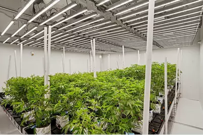 6764 Just Barns Drive, Fennville, MI 49408 - Photo 10