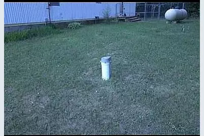 8893 E Sanders Road, Vestaburg, MI 48891 - Photo 6