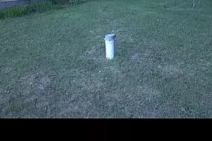 8893 E Sanders Rd, Vestaburg, MI 48891 - Photo 6