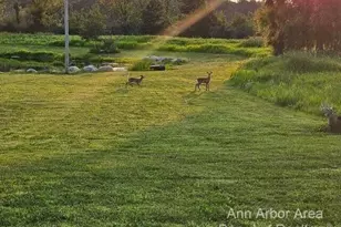 14720 Riethmiller Rd, Grass Lake, MI 49240 - Photo 78