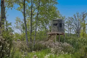 14720 Riethmiller Rd, Grass Lake, MI 49240 - Photo 74