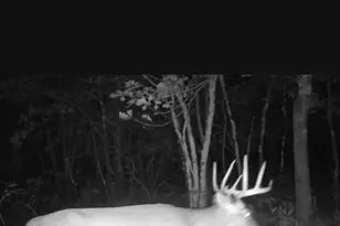 109 W McKinley Rd, Rothbury, MI 49452 - Photo 78