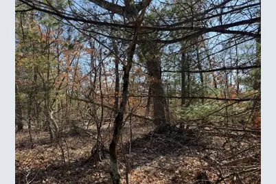 Vl Erie Street, Baldwin, MI 49304 - Photo 2