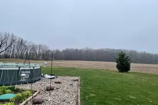 6523 Clinton Trail, Clarksville, MI 48815 - Photo 8