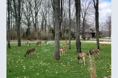 644 Woodchuck Drive, Coldwater, MI 49036 - Photo 54