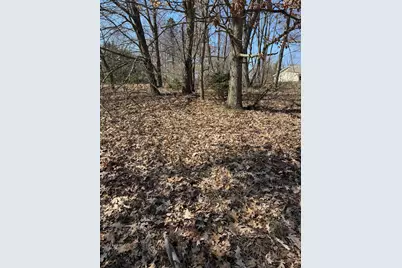 11472 Short Street, Stanwood, MI 49346 - Photo 2