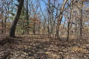 Vl S Arrowhead Trail, Baldwin, MI 49304 - Photo 1
