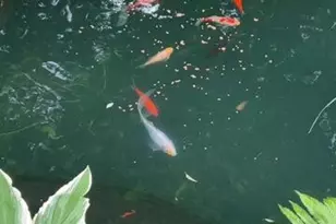 410 S Center St, Stockbridge, MI 49285 - Photo 28