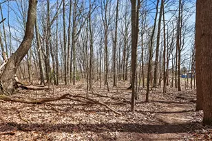 29054 56th St, Bangor, MI 49013 - Photo 4