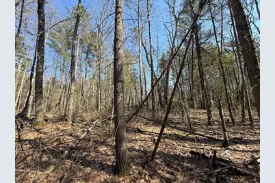 Vl S Pershing Road, Baldwin, MI 49304 - Photo 8