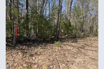 Vl S Pershing Road, Baldwin, MI 49304 - Photo 2