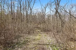 6326 N 7th St, Kalamazoo, MI 49009 - Photo 38