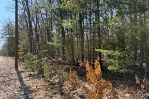 Vl Lots 7-11 Pershing Rd, Baldwin, MI 49304 - Photo 1