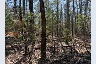 Vl Lots 7-11 Pershing Road, Baldwin, MI 49304 - Photo 2