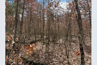 Vl W Lexington, Baldwin, MI 49304 - Photo 4