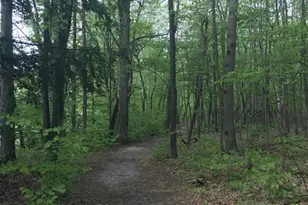 8894 Lakeshore Ave, West Olive, MI 49460 - Photo 56