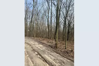 V/L Sycamore Street, Grand Junction, MI 49056 - Photo 2