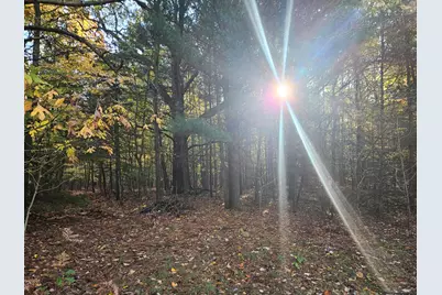 7040 Holly Drive, West Olive, MI 49460 - Photo 46