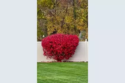 33 Wood Drive, Coldwater, MI 49036 - Photo 32