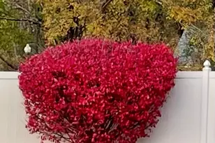 33 Wood Dr, Coldwater, MI 49036 - Photo 32