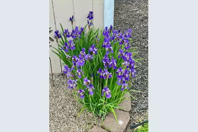 33 Wood Drive, Coldwater, MI 49036 - Photo 34