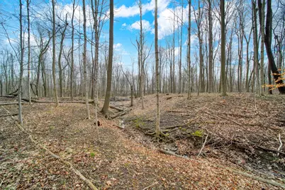 4705 Whig Highway, Clayton, MI 49235 - Photo 48