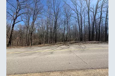 10270 Timberlane Drive, Canadian Lakes, MI 49346 - Photo 1