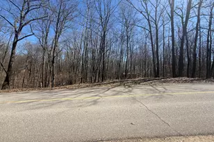 10270 Timberlane Dr, Canadian Lakes, MI 49346 - Photo 1