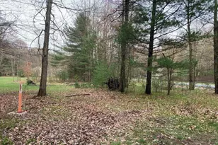 192nd Ave, Big Rapids, MI 49307 - Photo 1