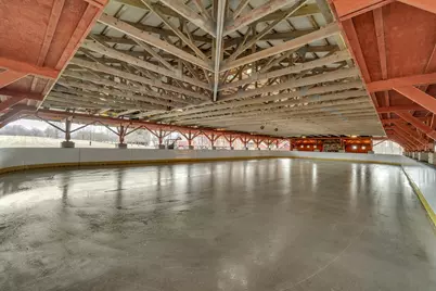 5140 Turtle Point Drive, Ann Arbor, MI 48105 - Photo 50