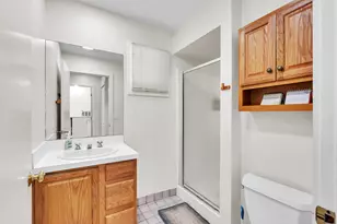 5200 Turtle Point Dr, Ann Arbor, MI 48105 - Photo 68