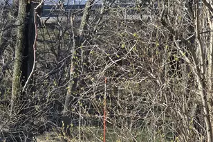 992 E Polk Rd, Hart, MI 49420 - Photo 38